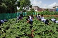 Goa Minister Proposes Inclusion of Agriculture in School Syllabus