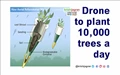 Drone That Can Plant 10,000 Trees a Day