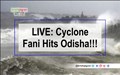 Cyclone Fani Live:  Hits Odisha, Trees Uprooted, Wind Speed at 200 Km/Hour; Safety Measures by Government