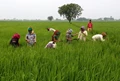 Karnataka planning separate regulatory body for crop insurance scheme