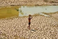 Intensified Drought Affects 82 lakh Farmers in Maharashtra; These Crops Suffered the Most