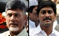 Vidhan Sabha Election Results 2019 Update: YSR Congress Leads in All Lok Sabha Seats, 146/175 Assembly Seats in Andhra Pradesh