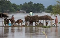 The plight of Flood and Climate change