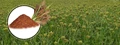 GM Crops: Answer to Climate Change