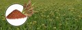 GM Crops: Answer to Climate Change