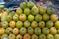 Mango and Jackfruit Diversity Fair Starts in Bengaluru
