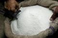 Pest Infestation: Sugar Production in Maharashtra declines