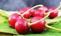 This Fruit has Anti-diabetes Properties & Can Cure Diabetes