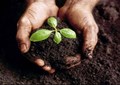 Determining soil health without soil samples