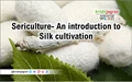 Sericulture- An introduction to Silk cultivation and production in India along with its policy initiatives