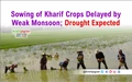 Sowing of Kharif Crops Delayed by Weak Monsoon; Drought Expected