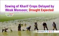 Sowing of Kharif Crops Delayed by Weak Monsoon; Drought Expected