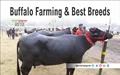 All About Buffalo Farming; Different Breeds and their Details
