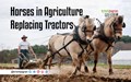 Horses in Agriculture Replacing Tractors and Early Domestication