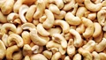 All-India Cashew Growers’ Association Formed