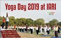 International Yoga Day Celebrations at IARI, Delhi