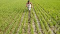 Good News for Farmers!!!! Prior to Budget Cabinet Approves Hike in MSP for All Sixteen Kharif Crops