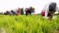 Mahindra  launched ‘Prerna’ project for women farmers