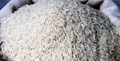 Basmati Rice Export increases by 32%: ICRA