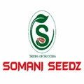 Somani Seeds Highlighted Cauliflower Variety to  Farmers in Shamshabad
