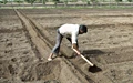 Know about Dryland Agriculture and Farming Technology