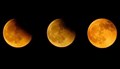 What is So Special of Lunar Eclipse 2019? Chandra Grahan Date, Time in India; Do's & Don'ts during Eclipse