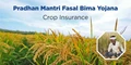 Crop Insurance Schemes Requires Better Planning