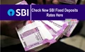 SBI Customers Alert!!! State Bank of India Revises Interest Rates on Fixed Deposits (FDs); New Rates to be Effective from 1 August