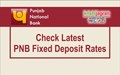 Punjab National Bank Changes Fixed Deposit (FD) Rates Again: Here's Latest Interest Rates for General Public, Senior Citizens