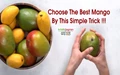 How to Choose a Perfect Mango? Do’s & Don'ts While Buying Mangoes and Method to Identify Among Different Varieties