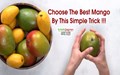 How to Choose a Perfect Mango? Do’s & Don'ts While Buying Mangoes and Method to Identify Among Different Varieties