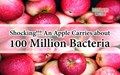 An Apple Contains about 100 Million Bacteria:  Are They Good or Bad for Health?