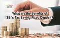 State Bank of India’s Tax Saving Fixed Deposit: Know the Eligibility, Rate of Interest, Lock-In Period & Key Features