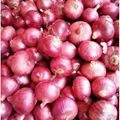 Flood Adds Fuel to the Rising Price of Onions