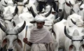 Doubling Farmers' Income through Indian Livestock Sector