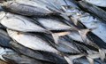Centre to Invest Rs 25,000 crore in Next 3-5 years to Revamp Fisheries Sector