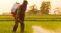Germany to Ban Use of Glyphosate Weedkiller by 2023
