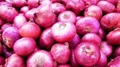 Centers Offers Solution for Sky-High Prices of Onion in Delhi and NCR