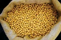 ICAR Develops Two New Varieties of Chickpeas - Pusa Chickpea 10216 and Super Annigeri 1