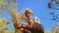 Good News for Farmers! Government to Begin Open Registration under PM-KISAN Scheme to Speed up Disbursements