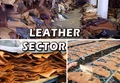 Leather Sector has the Potential to Create 2 Million Jobs in the Next 5 Years