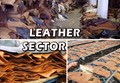 Leather Sector has the Potential to Create 2 Million Jobs in the Next 5 Years
