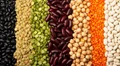 ICAR Organizes Scientist Field Day on Performance of Pulses
