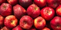 Good News for Apple Growers: Government Proposes to Increase Price of Apples