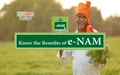 1.64 Crore Farmers Registered on e-NAM; Here's the Process of Selling Agricultural Produce Online in 585 Mandis
