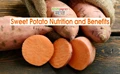 Sweet Potato: Here’s Why You Should Include This Healthy Vegetable in Your Diet