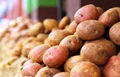 A Complete Guide to Potato Plantation