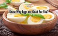 10 Amazing Benefits of Eggs; Easy to Make & Mouth-Watering Egg Recipes Inside
