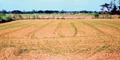 Soil and Water Conservation Engineering Measures for Treatment of Arable Land in Watershed
