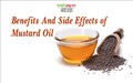 Incredible Health Benefits of Mustard Oil; How and When to Use it
